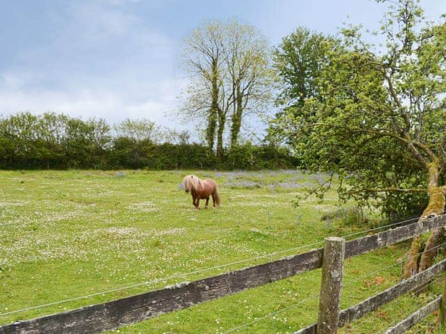 Garden and grounds | Sherrill Farm Holiday Cottages, Dunterton, near Tavistock