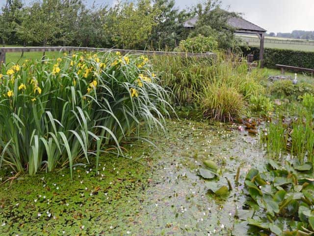 The pond in the grounds is a haven for wildlife | Cozy Cottage - Holtby Grange Cottages, Holtby, near York