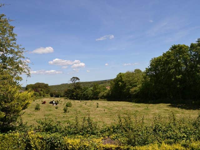 View | Pennacott, Week St Mary, near Widemouth Bay 