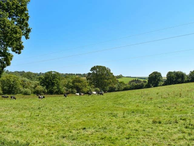 Countryside views | The Oaks - Trecan Farm Cottages, Lanreath, near Looe