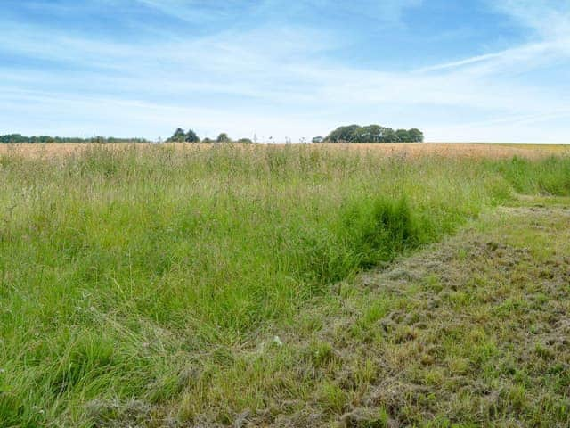 Surrounding countryside | The Cart Shed - Swafield Barns, Swafield, near North Walsham