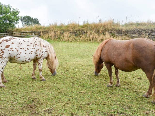 Surrounding area | The Swallows, Enniscaven, near St Austell