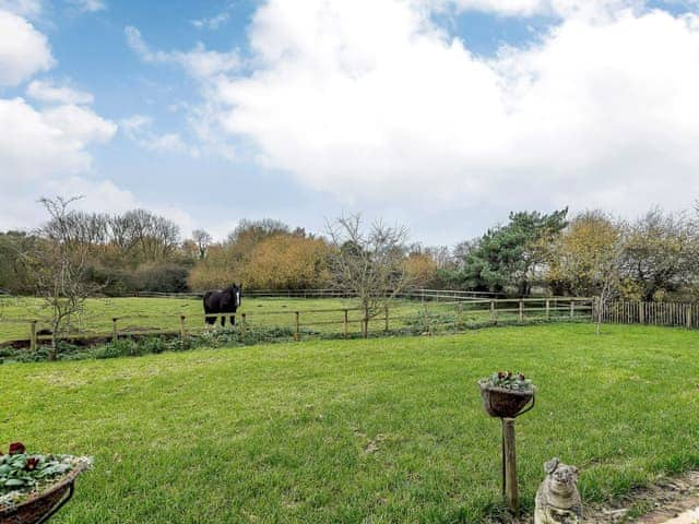 Peaceful garden area | Honey Pots, Foulden, near Swaffham