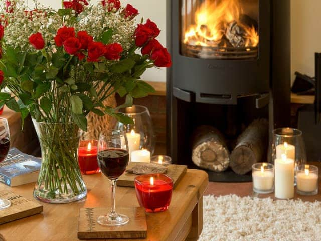 Cosy wood burner | Owls Hoot - Serenity Cottages, Stoke Ash, near Eye