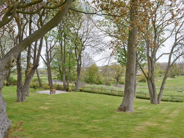 Lovely surroundings | Methodist Cottage - Tanfield Leith Farm Cottages, Tantobie, Stanley