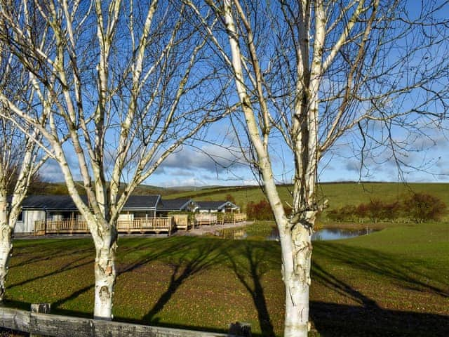 Garden and grounds | Pine Lodge, Cedar Lodge, Larch Lodge - Dale Garth Lodges, Mascalles, near Ulverston