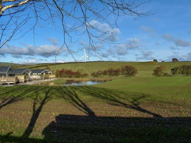 Garden and grounds | Cedar Lodge, Larch Lodge, Pine Lodge - Dale Garth Lodges, Mascalles, near Ulverston