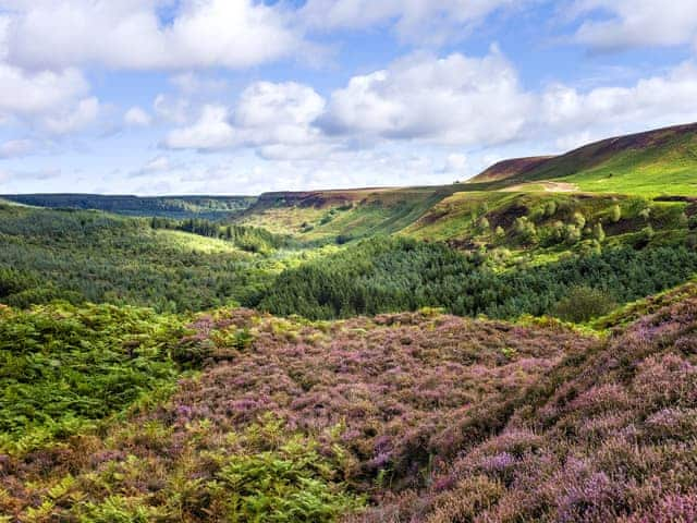 North York Moors