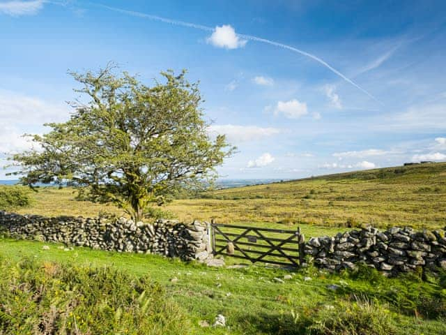 Dartmoor National Park