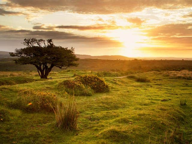 Dartmoor National Park