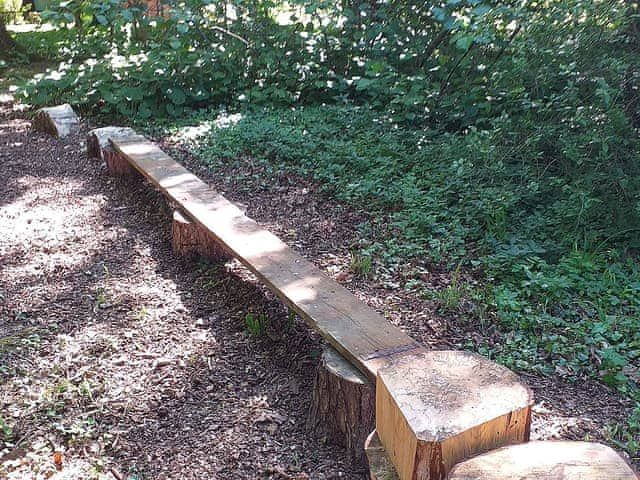 Balancing beam in the woods | Bodwen, Wootton Bridge, near Ryde