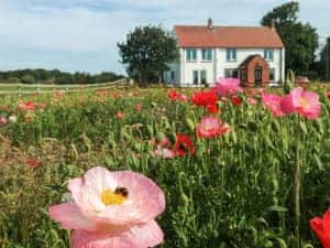 Spacious family holiday home  | Ladysmith, Brandesburton, near Hornsea