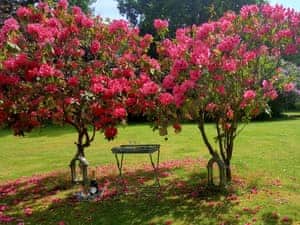 Garden and grounds | Kipling Cottage, Kipling&rsquo;s Place, Etchingham