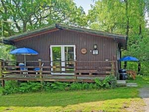 Exterior | Owls About - Torwood Lodges, Cenarth, near Newcastle Emlyn