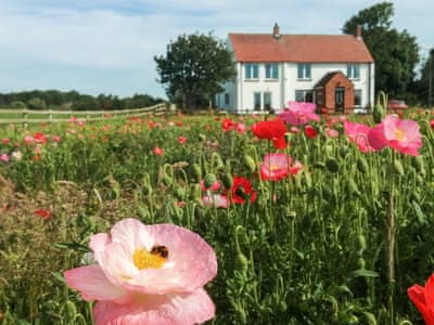 Spacious family holiday home | Ladysmith, Brandesburton, near Hornsea