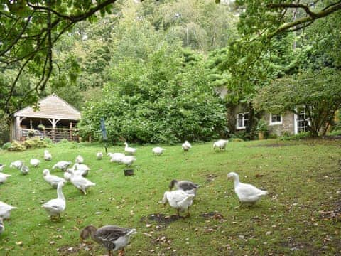 Exterior | Keeper&rsquo;s Cottage, Crowborough