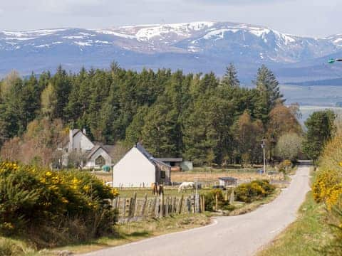 Setting | Eagle Landing, Culbokie, near Dingwall