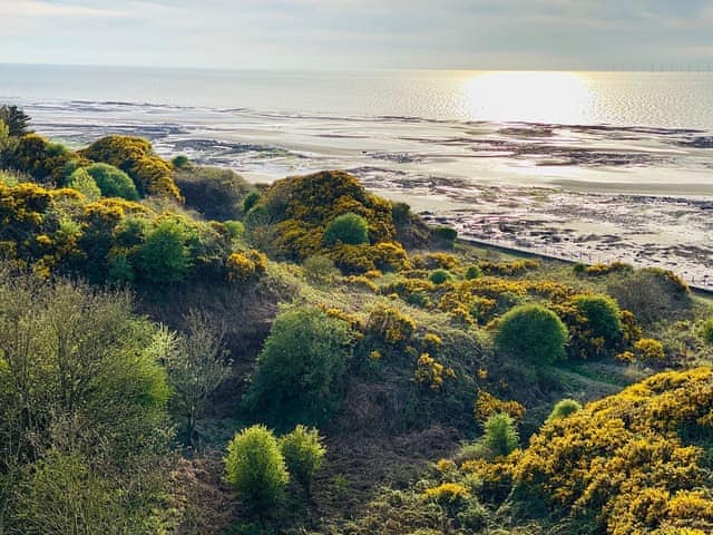 Surrounding area | Ritson Wharf, Ritson Wharf, near Cockermouth