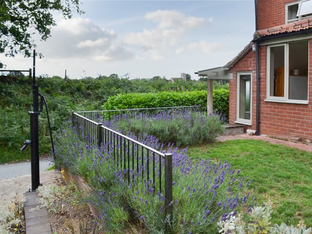Exterior | Elesa Cottage, Elsing, near Dereham