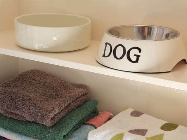 Dog friendly | The Camber, Cowes