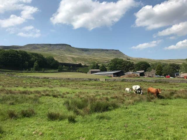 Beautiful surrounding countryside | Aisgill Farm Cottage - Aisgill Farm, Aisgill, near Kirkby Stephen