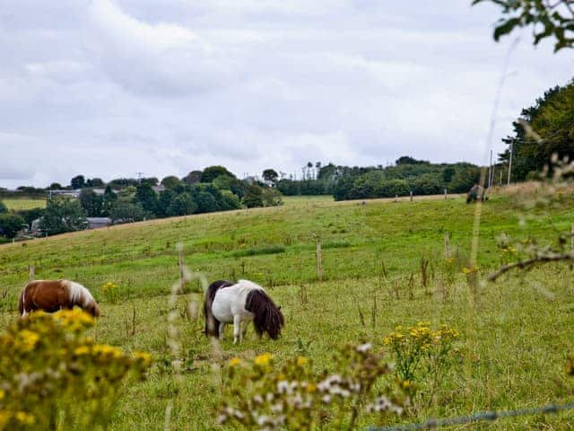 Surrounding area | Granary - Summercourt Cottages, St Martin, near Looe