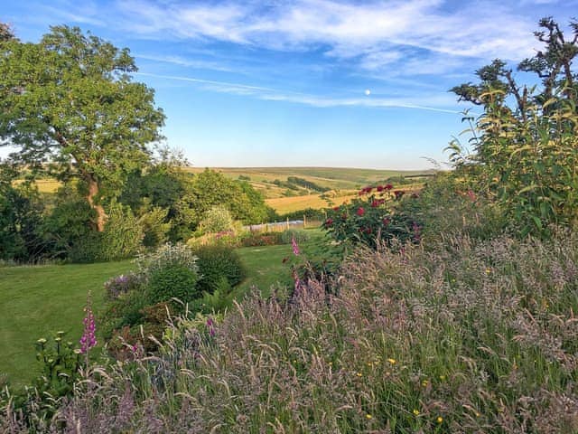 Garden | Exmoor View, Cheriton, near Lynton