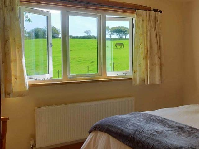 View of exmoor pony through the bedroom window | Exmoor View, Cheriton, near Lynton