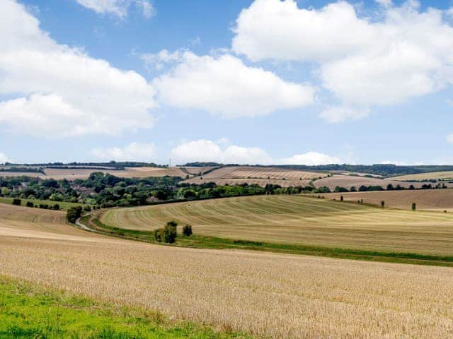 View | 1 The Pheasant - Ilsley Farm Barns, East Ilsley, near Newbury