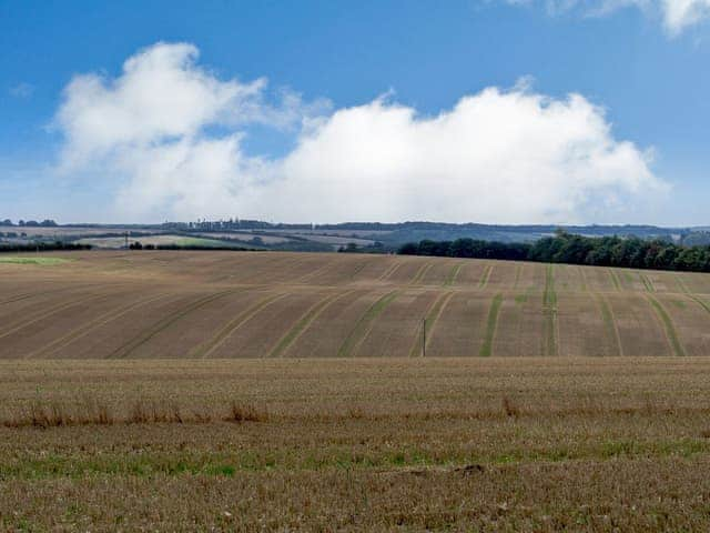 View | 2 The Pheasant - Ilsley Farm Barns, East Ilsley, near Newbury