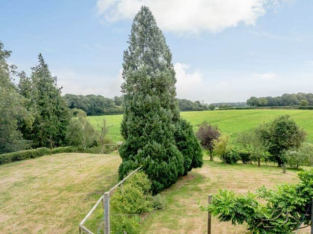 View | Hilley Holey, Woodbastwick, near Norwich