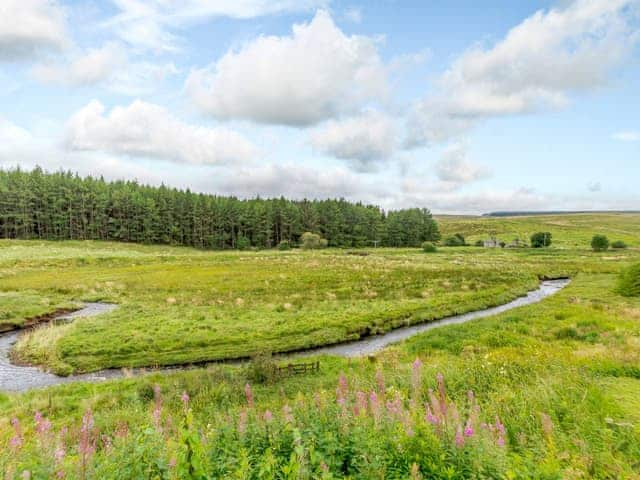 View | Kerseycleugh Bridge Cottage, Kielder