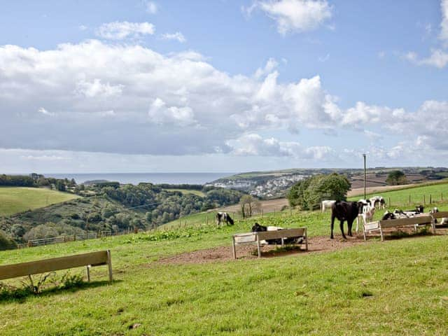 View | Stables - Summercourt Cottages, St Martin, n