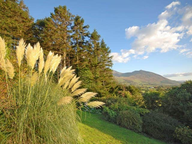 View towards Skiddaw | Holly Bank, Bassenthwaite, near Keswick