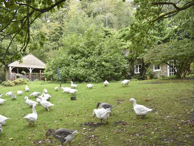 Exterior | Keeper’s Cottage, Crowborough