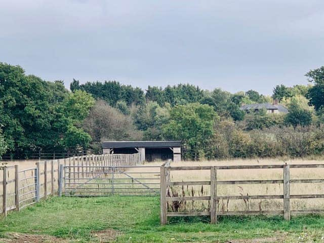 Pony shelter | The Old Dairy, West Chiltington