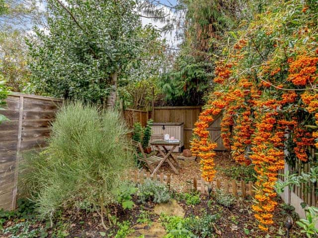 Garden | Anchor Cottage, Whitstable