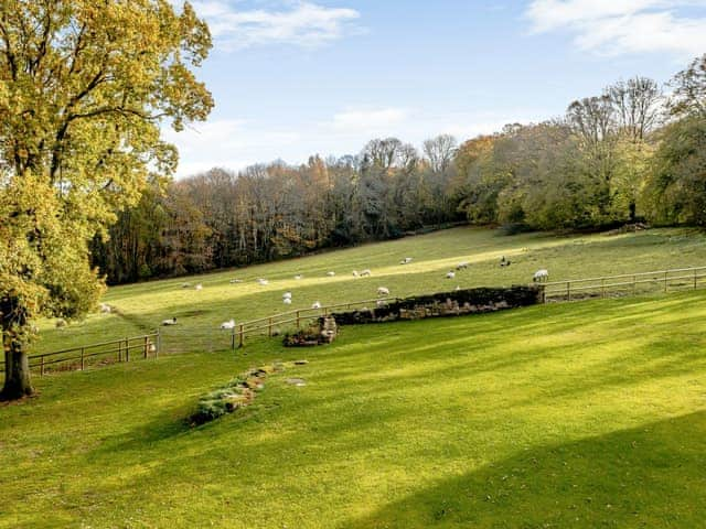 View | Priors Lodge Barns - Horseshoe - Priors Lodge Barns , Bream, near Lydney