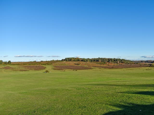 New Forest