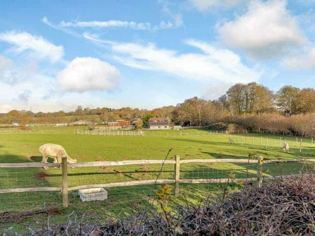 Setting | Blossoms Cottage, Hassocks