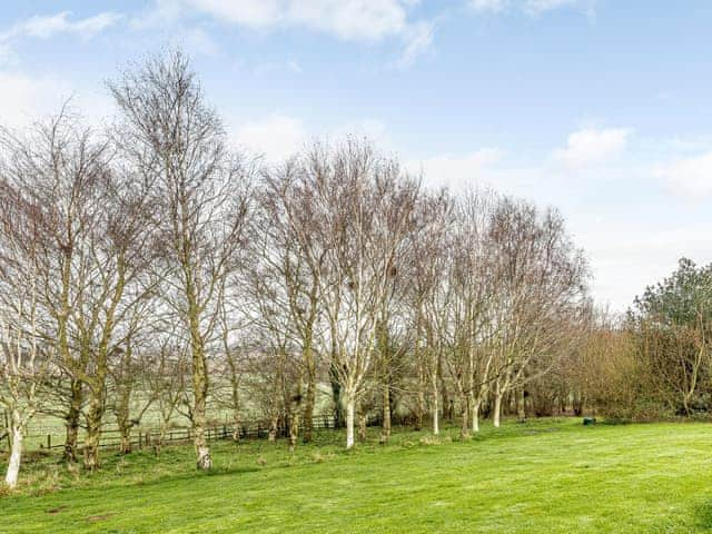 Mature garden | White Oak Cottage, Hagworthingham, near Horncastle