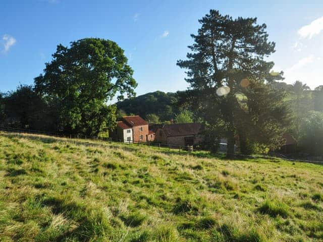 Within the grounds of Higher Aisholt Farm | The Mill House, Aisholt, near Bridgwater