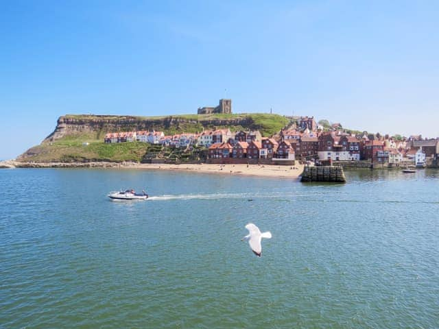 Whitby Abbey View