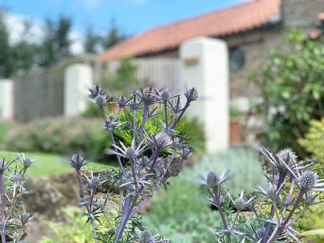 Garden | Wheatsheaf Cottage - Granary Farm Cottages, Sawdon, near Scarborough