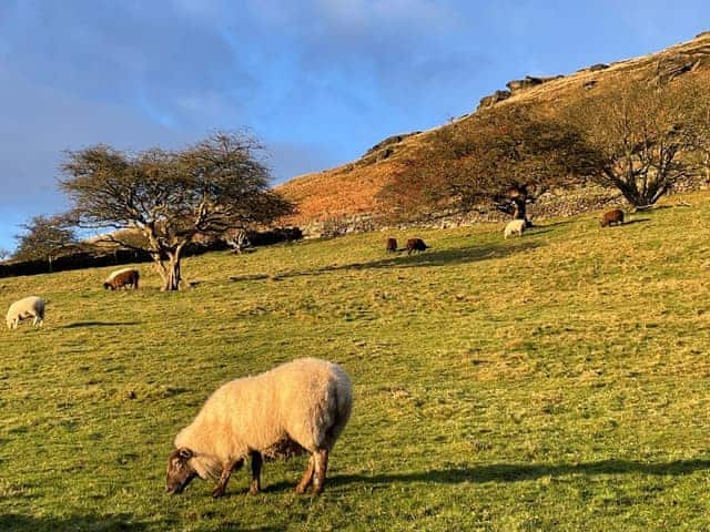 Surrounding area | Willow Cottage at Naze Farm, Sycamore Cottage at Naze Farm - Naze Farm, Chinley