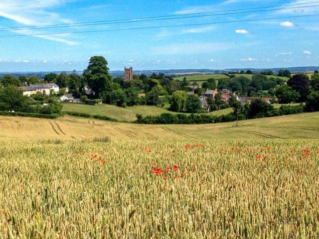 View across the field towards Coachmans Close | Coachmans Close, Milverton, near Taunton