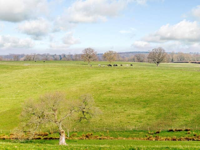 Surrounding area | Spire View Hut, Alderbury, near Salisbury