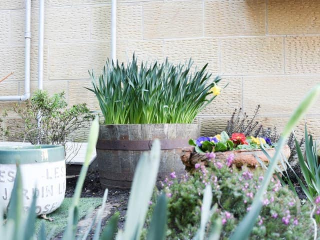 Outdoor area | Potters Pad, Alnwick