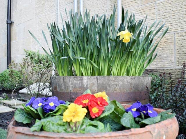 Outdoor area | Potters Pad, Alnwick