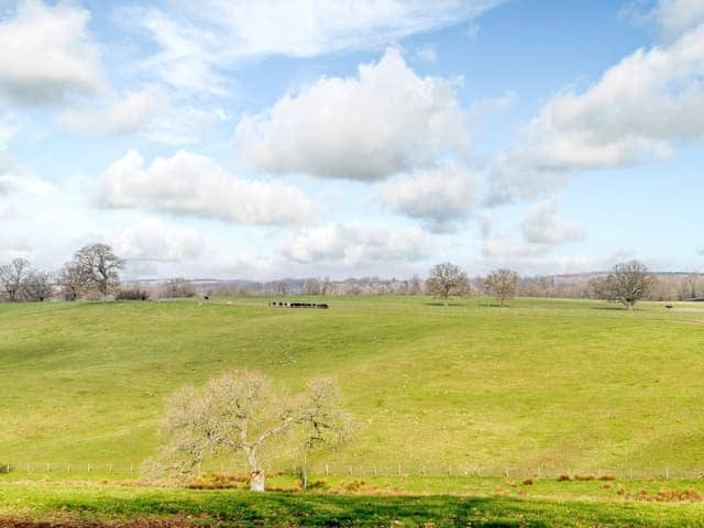 Surrounding area | Shepherds Hut Retreat, Alderbury, near Salisbury